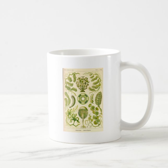 Green Algae Mug (Right)