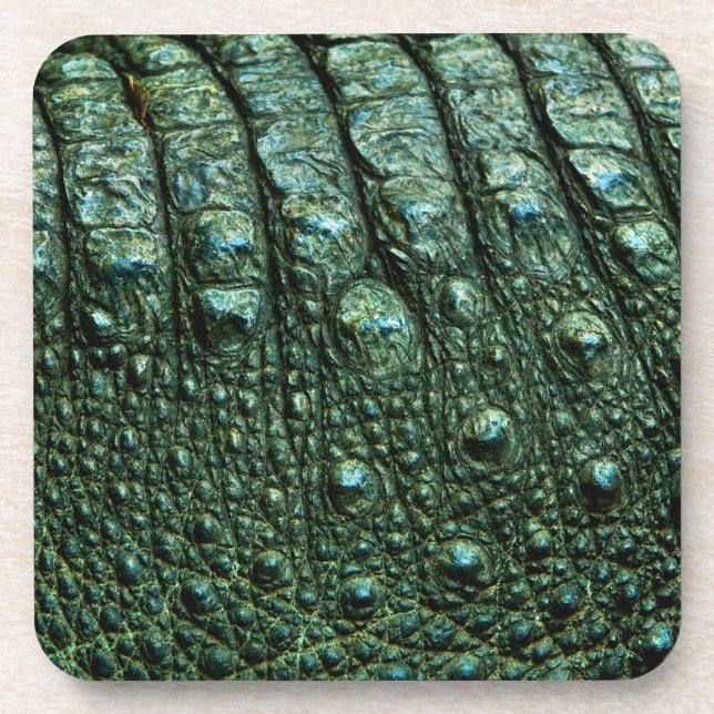Green Alligator Skin Texture Coaster (Front)