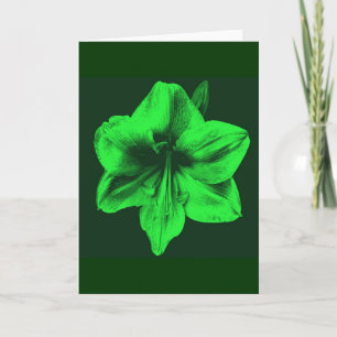 Green Amaryllis Card