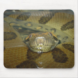 Green Anaconda Mouse Mat