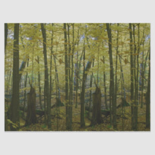 Green and black trees tissue paper