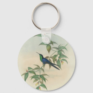 Green and Blue Gould Hummingbird Key Ring