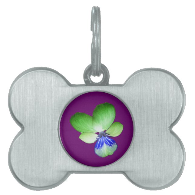 Green and Blue Pansy Pet Tag (Front)