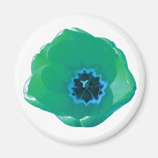 Green and Blue Tulip Magnet (Front)