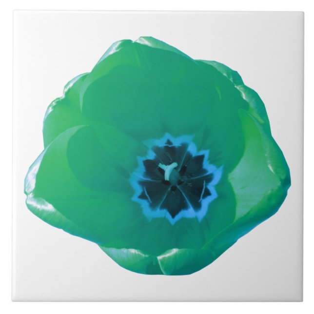 Green and Blue Tulip Tile (Front)