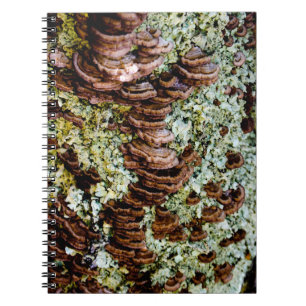Green and Brown Mushrooms Spiral Photo Notebook