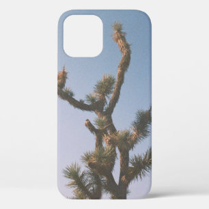 GREEN AND BROWN TREE UNDER BLUE SKY iPhone 12 CASE