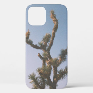GREEN AND BROWN TREE UNDER BLUE SKY iPhone 12 CASE
