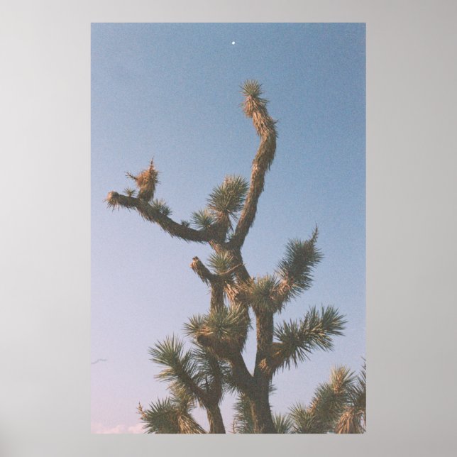 GREEN AND BROWN TREE UNDER BLUE SKY POSTER (Front)