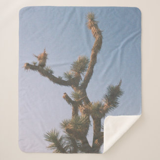 GREEN AND BROWN TREE UNDER BLUE SKY SHERPA BLANKET