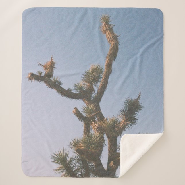 GREEN AND BROWN TREE UNDER BLUE SKY SHERPA BLANKET (Front)