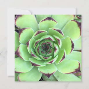 Green and Dark Purple Succulent Photo Wedding Invitation