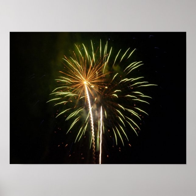 Green and Gold Fireworks Holiday Celebration Poster (Front)