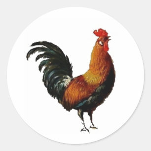 Green and Gold Vintage Rooster Painting Classic Round Sticker