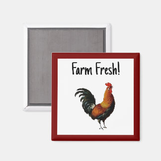 Green and Gold Vintage Rooster Painting Magnet