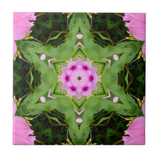GREEN AND PINK ABSTRACT DRAWING. SAMER BRASIL. 4 TILE