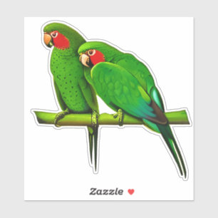 Green and Red Parrot Couple