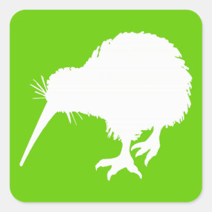 Green and White Kiwi Square Sticker