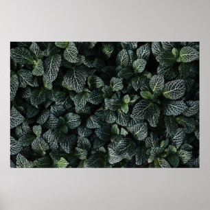 GREEN AND WHITE LEAF PLANT POSTER