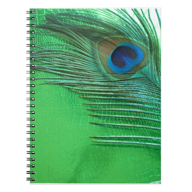 Green and White Peacock Feather Still Life Notebook (Front)