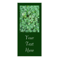 Green and White Shamrocks 'Customisable Rack Card