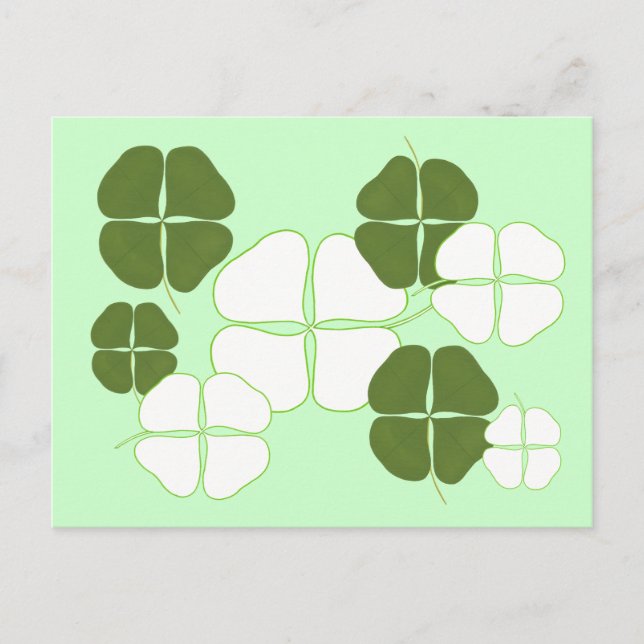 Green and White Shamrocks postcards (Front)