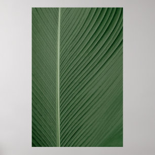 Green and white striped textile poster
