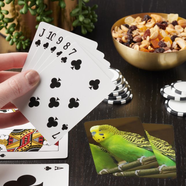 Green and Yellow Parakeet Photo Playing Cards (In Situ)