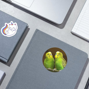 Green and Yellow Parakeets Photo Classic Round Sticker