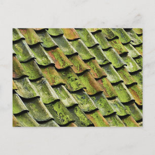 green angles postcard