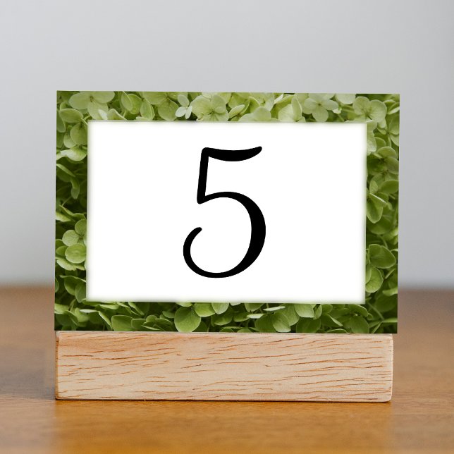 Green Annabelle Hydrangea Floral Table Numbers (Creator Uploaded)