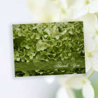 Green Annabelle Hydrangea Floral Thank You