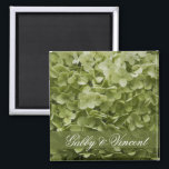 Green Annabelle Hydrangea Floral Wedding Magnet<br><div class="desc">Customise the elegant Green Annabelle Hydrangea Floral Wedding Square Magnet with the personal names of the bride and groom to create a one of a kind personalised party favour or keepsake gift for the newlyweds, bridesmaids or bridal attendants. This pretty custom flowery marriage magnet features a floral photograph of a...</div>