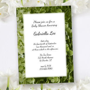 Green Annabelle Hydrangea Flower Baby Shower Invitation
