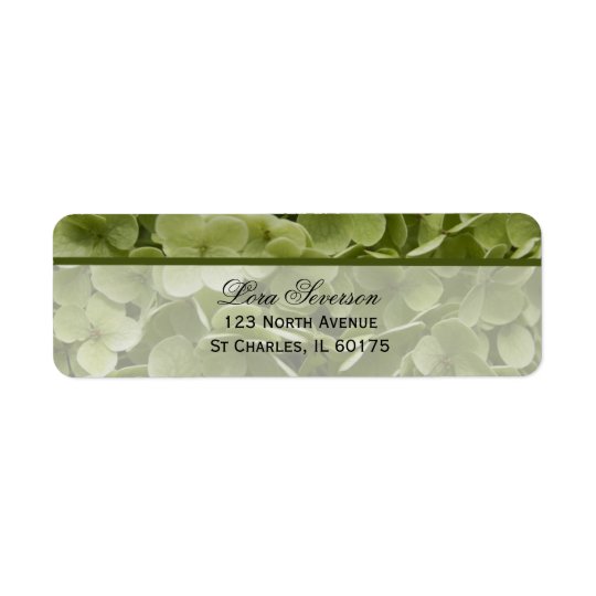 Green Annabelle Hydrangea Flower Return Address Return Address Label