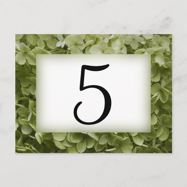 Green Annabelle Hydrangea Flower Table Numbers Postcard (Front)