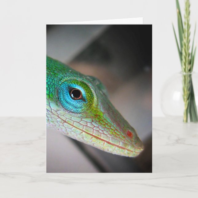 Green Anole Lizard Card (Front)