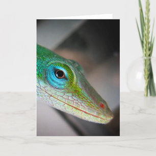Green Anole Lizard Card