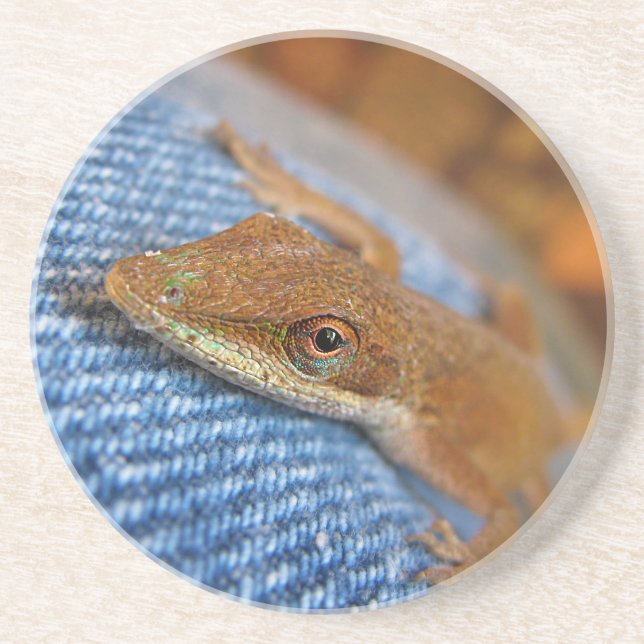 Green Anole Lizard Coaster (Front)
