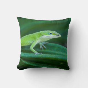 Green Anole Lizard Cushion