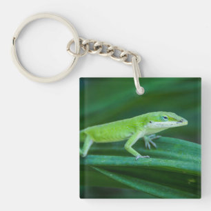 Green Anole Lizard Key Ring