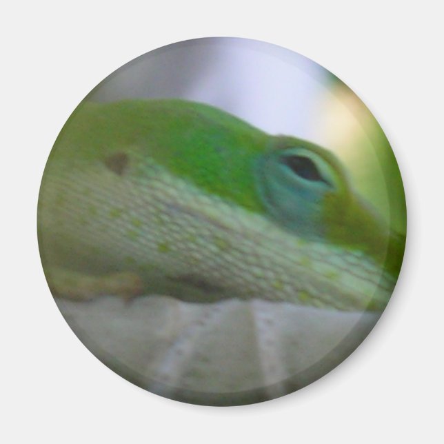 Green Anole Lizard Magnet (Front)