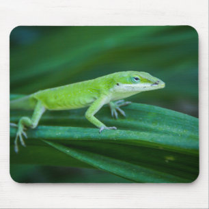 Green Anole Lizard Mouse Mat