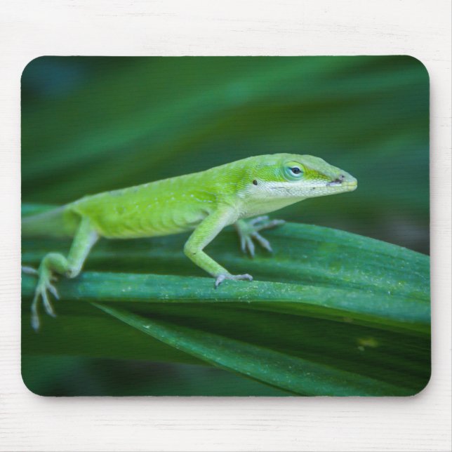 Green Anole Lizard Mouse Mat (Front)
