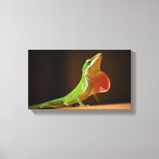 Green Anole Lizard with Red Thraot Canvas Print (Front)