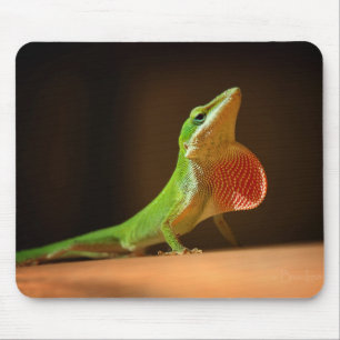 Green Anole Lizard with Red Thraot Mouse Mat
