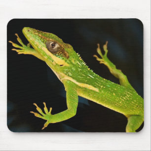 Green Anole Mouse Mat