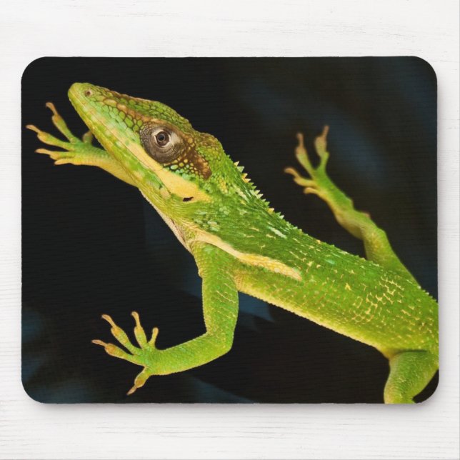 Green Anole Mouse Mat (Front)