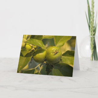 green apples card