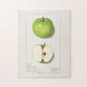 Green Apples (Malus Domestica) Fruit Painting Jigsaw Puzzle